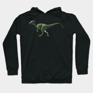 Raptor Hoodie